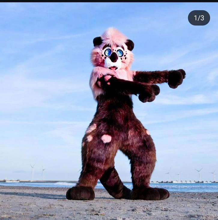 Fursuit zeeotter, Hobby en Vrije tijd, Kostuums, Theaterbenodigdheden en LARP, Ophalen