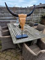 Skull op voet, Ophalen of Verzenden