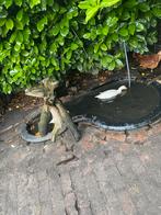 Indische loopeenden, Dieren en Toebehoren, Pluimvee, Meerdere dieren, Eend