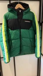 Vingino winterjas groen 176, Gebruikt, Ophalen of Verzenden, Vingino, Jongen