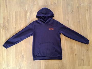 Red Bull (Max Verstappen) F1 trui / hoodie maat 164 beschikbaar voor biedingen