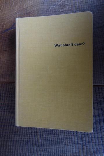 D. Aichele: wat bloeit daar (determineren van bloemen) beschikbaar voor biedingen