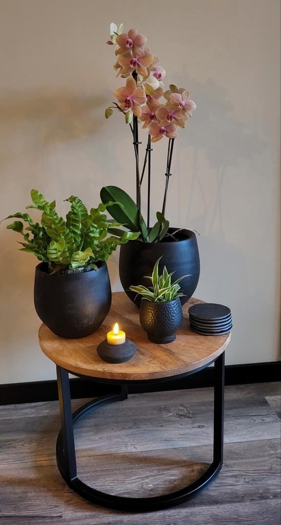 Set van zwarte bloempotten voor de huiskamer, Huis en Inrichting, Woonaccessoires | Overige, Zo goed als nieuw, Ophalen