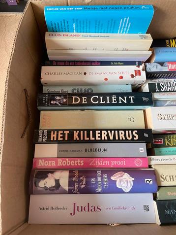 Boekenpakket: Diverse Genres en Auteurs beschikbaar voor biedingen