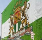 FEYENOORD vs CELTIC, Tickets en Kaartjes, Sport | Voetbal, Twee personen