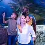 Sealife schevingen tweede kaartje gratis, Twee personen