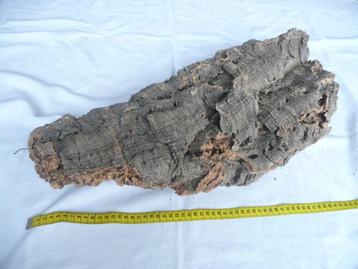 Prachtig groot stuk kurkschors, 58 x 27 cm, kurkhout, schors beschikbaar voor biedingen