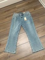 Nieuw! Red Button jeans Babette maat 44, Blauw, Nieuw, Ophalen of Verzenden, W33 - W36 (confectie 42/44)