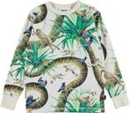 Shirt rill monkey business van MOLO maat 104 #NIEUW#, Kinderen en Baby's, Kinderkleding | Maat 104, Jongen, MOLO, Ophalen of Verzenden