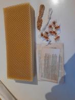 Bijenwaskaarsen zelf maken, Nieuw, Ophalen of Verzenden
