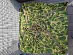 WW2 parachute, Verzamelen, Militaria | Tweede Wereldoorlog, Ophalen of Verzenden, Landmacht, Amerika, Overige typen