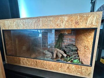 Terrarium met accessoires beschikbaar voor biedingen