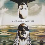 Amerigo Gazaway – A Common Wonder, 2000 tot heden, Overige formaten, Ophalen of Verzenden, Zo goed als nieuw
