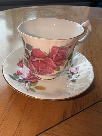 Royal Adderley kop en schotel  beschikbaar voor biedingen