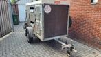Henra schapen, geiten, pony aanhanger, Dieren en Toebehoren, Schapen, Geiten en Varkens