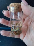 Opaal in glazen potje, Verzamelen, Mineralen en Fossielen, Ophalen of Verzenden