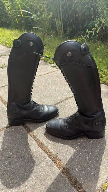 Qhp hailey junior, de niro beschikbaar voor biedingen