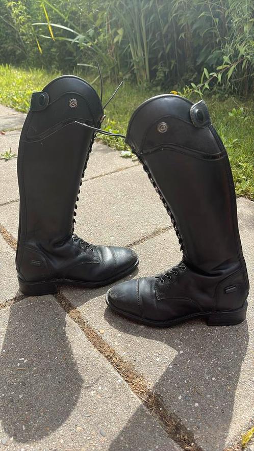 Qhp hailey junior, de niro, Dieren en Toebehoren, Paardrijkleding, Zo goed als nieuw, Schoeisel, Dressuur, Ophalen of Verzenden