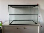 Queenies terrarium, Gebruikt, Hamster, Hok, 75 tot 110 cm