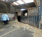 Paardenstal contrainer te koop, Dieren en Toebehoren, Stalling en Weidegang, Stalling