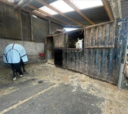 2 Paardenstal containers te koop, Dieren en Toebehoren, Stalling en Weidegang, Stalling