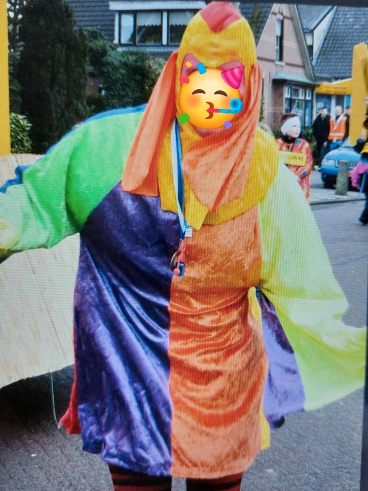 Vrolijke kippenpakken, one size! Leuk voor Carnaval, Hobby en Vrije tijd, Kostuums, Theaterbenodigdheden en LARP, Gebruikt, Overige typen