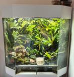 Terrarium of paludarium laten inrichten?, Dieren en Toebehoren, Reptielen en Amfibieën | Toebehoren, Ophalen of Verzenden, Nieuw