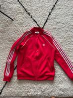 Adidas trainingsjack maat 38 m classic, Ophalen of Verzenden, Zo goed als nieuw, Maat 38/40 (M), Rood
