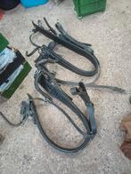 Te koop, Dieren en Toebehoren, Ophalen, Overige soorten