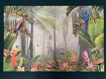 Schilderij IKEA jungle papegaai vogels 118x78 cm beschikbaar voor biedingen