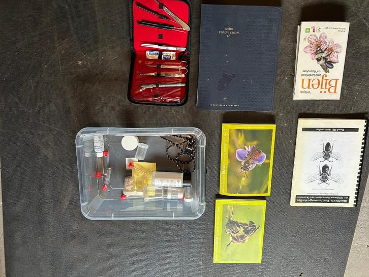 Wilde Bijen Set. Veldgidsen, naslagwerken, Veldmateriaal, Boeken, Natuur, Zo goed als nieuw, Natuur algemeen, Ophalen of Verzenden