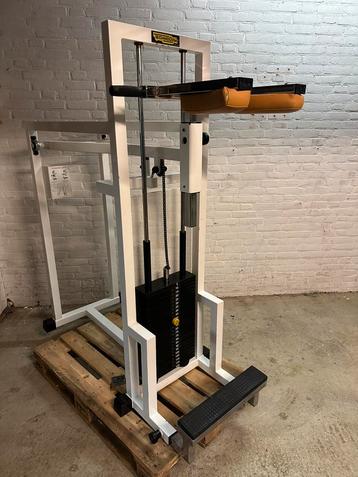 Technogym Isotonic Line Staande Kuit beschikbaar voor biedingen
