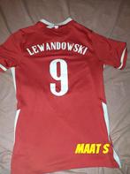 Polen voetbalshirt, Ophalen of Verzenden, Zo goed als nieuw, Shirt