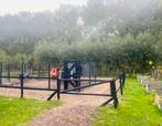 Pony paddock incl schuilstal, Dieren en Toebehoren, Stalling en Weidegang, Weidegang, 2 of 3 paarden of pony's