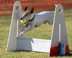 Flyball Jump hond honden training obstakel horde +8 hoogtes, Nieuw, Ophalen of Verzenden