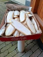 Doosje Sepia, Dieren en Toebehoren, Ophalen of Verzenden