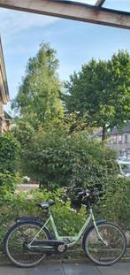 Damesfiets Batavus, Ophalen of Verzenden, Overige soorten