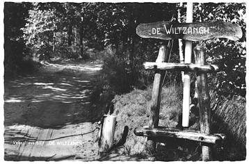 962511	Ruinen	Drenthe	1965 de Wiltzangh	Gelopen met postzege beschikbaar voor biedingen