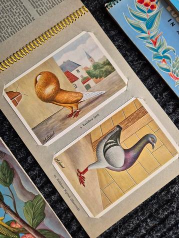 Prentboek vogels  beschikbaar voor biedingen