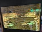 Groot terrarium 1 meter 80 hoog 1 meter 80 breed 50 cm diep, Ophalen