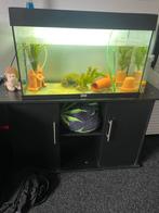 Vissenkom met kast, Dieren en Toebehoren, Vissen | Aquaria en Toebehoren, Ophalen of Verzenden, Zo goed als nieuw, Leeg aquarium