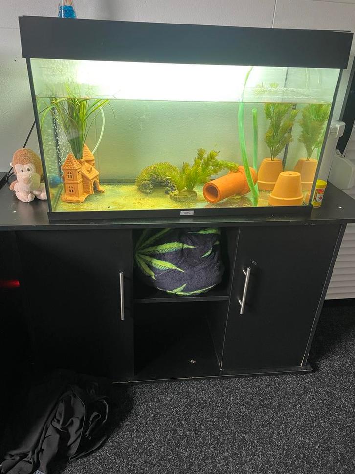 Vissenkom met kast, Dieren en Toebehoren, Vissen | Aquaria en Toebehoren, Zo goed als nieuw, Leeg aquarium, Ophalen of Verzenden