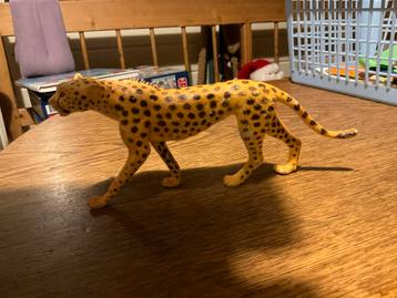 Cheetah AAA toys beschikbaar voor biedingen