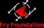 Fry foundation miners GEZOCHT, Computers en Software, Ophalen of Verzenden