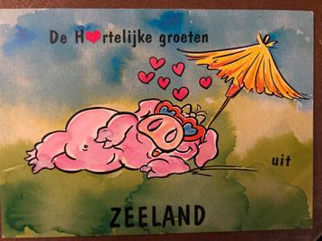 Oude Ansichtkaart Zeeland - Varken met Paraplu beschikbaar voor biedingen