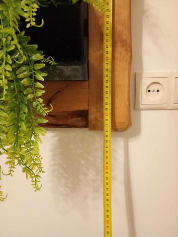 Houten wanddecoratie met plantenbak beschikbaar voor biedingen