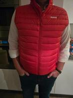 DAF Truck bodywarmer, DAF, Maat 56/58 (XL), Ophalen of Verzenden, Zo goed als nieuw