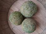 Drie grote mos bollen, Ophalen of Verzenden, Zo goed als nieuw