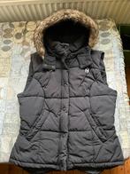 Zwarte getailleerde bodywarmer van H&M maat 44, H&M, Zwart, Maat 42/44 (L), Ophalen of Verzenden