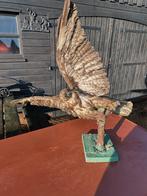 Oude, maar mooie roofvogel decoratie, Tuin en Terras, Tuinbeelden, Ophalen, Gebruikt, Overige materialen, Dierenbeeld
